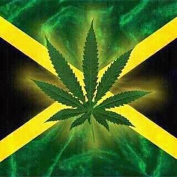 Meet your Posher, Carlos - Picture 1 of 1